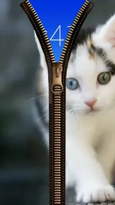 Cat Zipper Screen Lock android App screenshot 3