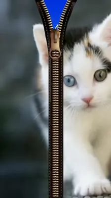 Cat Zipper Screen Lock android App screenshot 4