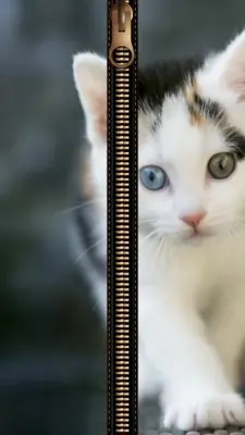 Cat Zipper Screen Lock android App screenshot 5